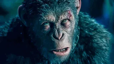 Что произошло в фильме «Планета обезьян: Война»? | Канобу