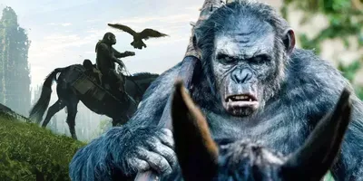 Завершились съемки «Царства планеты обезьян» - новости кино - 19 февраля  2023 - Кино-Театр.Ру