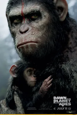 Планета обезьян: Революция\" выглядит классно / Dawn of the Planet of the  Apes :: Планета обезьян Революция :: Planet of the Apes :: Скоро :: планета  обезьян :: кино :: новости ::