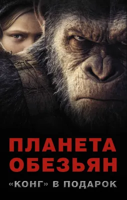 Новые герои — на кадрах «Планеты обезьян: Новое царство» | КиноТВ