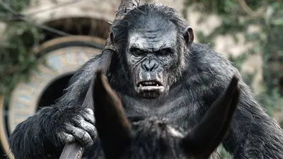 Художественный фильм «Планета обезьян: Революция». Фильмы и Сериалы. Первый  канал
