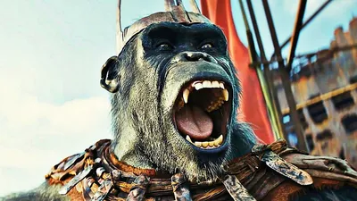 Планета обезьян: Трилогия (3 Blu-ray) (Dawn of the Planet of the Apes /  Rise of the Planet of the Apes / War for the Planet of the Apes) –  Bluraymania