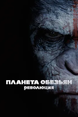 Планета обезьян: Революция, 2014 — описание, интересные факты — Кинопоиск