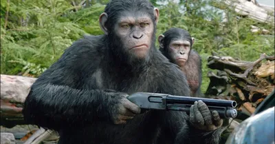 Фильм Планета обезьян: Революция (Dawn of the Planet of the Apes): фото,  видео, список актеров - Вокруг ТВ.