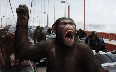 Планета обезьян: Революция (2014) – Фильм Про