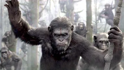 Разбор концовки фильма «Планета обезьян: Война» | Канобу