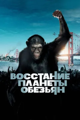 Фильм «Планета обезьян: Революция» покажут на закрытии 36-го Московского  кинофестиваля - Газета.Ru