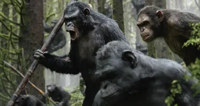 Планета обезьян: Революция» - KP.RU