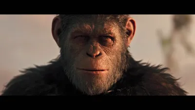 На съемках фильма «Планета обезьян: Революция»