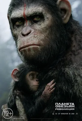 Планета обезьян: Революция Фильм, 2014 - подробная информация - Dawn of the  Planet of the Apes