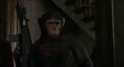 Планета обезьян: Революция / Восстание планеты обезьян (2 Blu-ray) — купить  в интернет-магазине по низкой цене на Яндекс Маркете
