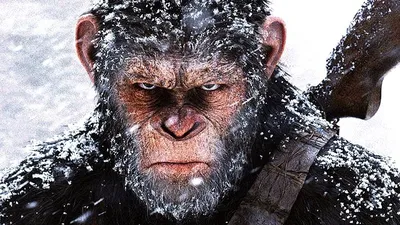 Планета обезьян: Революция (Dawn of the Planet of the Apes) онлайн | Go3