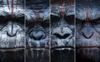 Планета обезьян: Революция / Dawn of the Planet of the Apes (США, 2014) —  Фильмы — Вебург