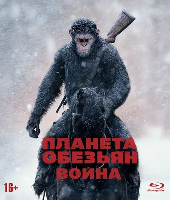 Планета обезьян: Война (Blu-ray) - купить с доставкой по выгодным ценам в  интернет-магазине OZON (256710049)