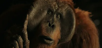 Спецэффекты фильма «Планета обезьян: Война» | Пикабу