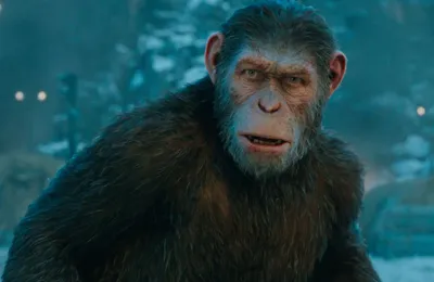 War for the Planet of the Apes / Планета Обезьян: Война (2017)