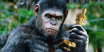 Планету обезьян: Война» будут продвигать на «Оскар» 2018 как лучший фильм -  Рамблер/кино