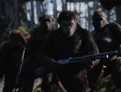 Обзор фильма «Планета обезьян: Война». Основной первобытный инстинкт —  Игромания