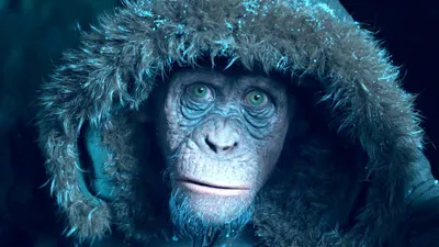 Разбор концовки фильма «Планета обезьян: Война» | Канобу