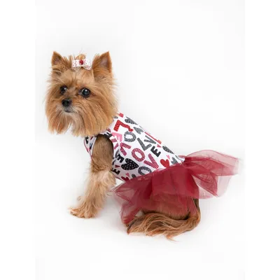 Платье для собак и кошек Зоозавр купить по цене 399 ₽ с доставкой в Москве  и России, отзывы, фото