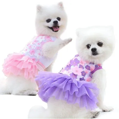 Платье для собак Зоозавр белое 35 купить по цене 299 ₽ с доставкой в Москве  и России, отзывы, фото