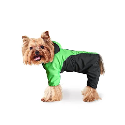 Одежда для собак на Хэллоуин, костюмы на Хэллоуин, праздничные платья для  щенков, роскошная одежда для маленьких собак, одежда для домашних животных,  косплей-вечеринки | AliExpress