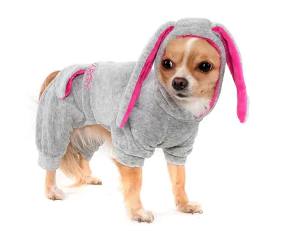 Одежда для собак на Хэллоуин PUPCA, индивидуальная Женская Одежда для  питомцев, Одежда для животных, Тедди, игрушечная кукла, нож, кинжал,  толстовки | AliExpress