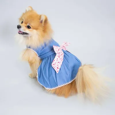 Платье для собак \"Камелия\" Pet Fashion купить в Киеве, Харькове и Украине