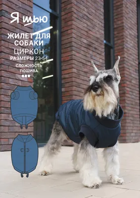 Одежда для собак из Китая — 7choice