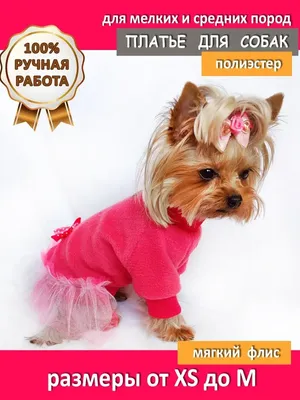 Летнее яркое платье для маленьких собак, свадебное платье принцессы для  собак, юбка-пачка, одежда для чихуахуа, костюмы для йоркширских щенков |  AliExpress