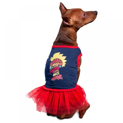 Платье для собак , кошек MonSaba, размер M, одежда для собак мелких пород ,  подарок на день рождение - купить с доставкой по выгодным ценам в  интернет-магазине OZON (891516682)