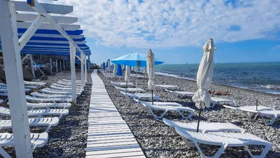 Пляж «Дельфин» в Лазаревском: отзывы, фото, цены, как добраться