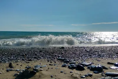 Пляж \"Дельфин\" в феврале 2022г. 🌴ЛАЗАРЕВСКОЕ СЕГОДНЯ🌴СОЧИ. - YouTube