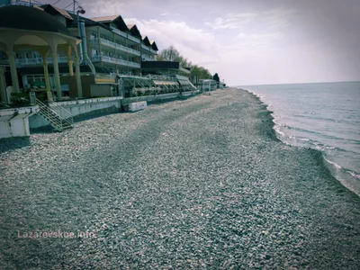 Пляж дельфин в лазаревском (77 фото) - 77 фото