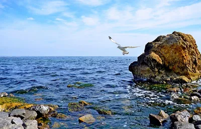 Пляж Дельфин | Отдых в Одессе