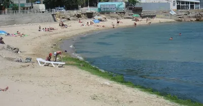пляж дельфин одесса｜Búsqueda de TikTok