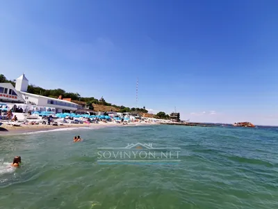 Наконец-то убрали»: как сейчас выглядит пляж Дельфин без танкера и довольны  ли одесситы - Одесская Жизнь