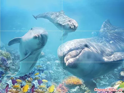 Стеновая панель ПВХ Кронапласт Unique Океан дельфины 2700х250 мм: цены,  фото - купить в интернет-магазине