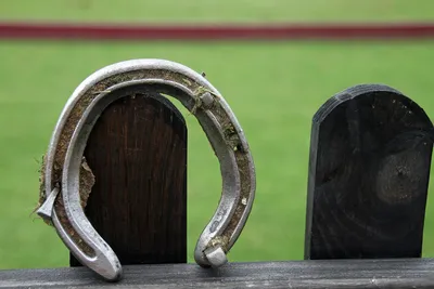 Деревянная подкова лошади стоковое изображение. изображение насчитывающей  сталь - 171572559