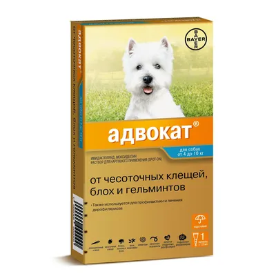 Ветеринарний госпіталь \"Фауна-сервіс\" - Дирофиляриоз — заболевание, которое  у всех на слуху. Тем не менее, несмотря на широкую “узнаваемость”,  заболевание диагностируют все большему числу собак. Порой ряды заболевших  пополняются и кошками. ✓Дирофиляриоз —