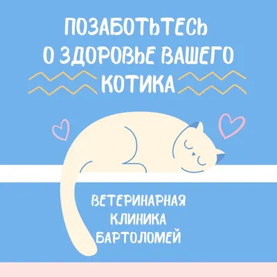 Открытка инстаграм «Ты особенная», кот, 8,8 × 10,7 см - купить по выгодной  цене | Sdelay-tort.ru - Магазин для кондитеров