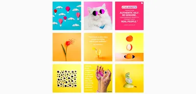 Pitha - пост в Instagram по уходу за животными, Наборы UX и UI Включая:  домашнее животное и кот - Envato Elements
