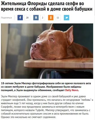 Наклейка \"Можно с собакой\" для ПВЗ Яндекс Маркет
