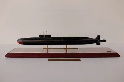 Vnmedia (Вьетнам): Россия наращивает ядерный потенциал и расширяет подводный  флот | 07.10.2022, ИноСМИ