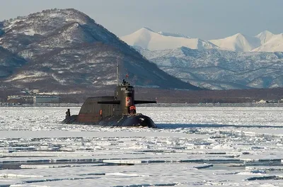 Знак. Атомная подводная лодка К-424 проекта 667 БДР Кальмар. Северный флот.  XX лет. 1976-1996.
