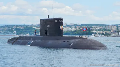 Подводная лодка \"Краснодар\" - Официальный сайт Администрации  Санкт‑Петербурга