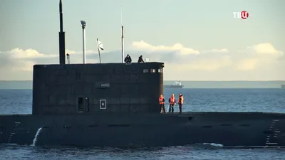 Что известно о подводной лодке «Краснодар», которой командовал Ржицкий? |  АиФ-Юг | Дзен