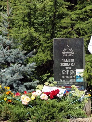Она утонула»: прошло 22 года со времени гибели подводной лодки Курск |  newsvo.ru