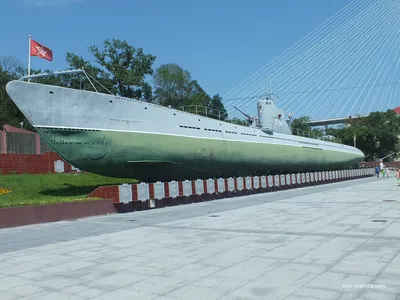 Подводная лодка С-56 и сторожевой корабль типа «Ураган» в Полярном —  военное фото