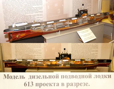 Черные страницы ТОФ: как и почему столкнулись АПЛ К-56 и промысловое судно  \"Академик Берг\" - PrimaMedia.ru